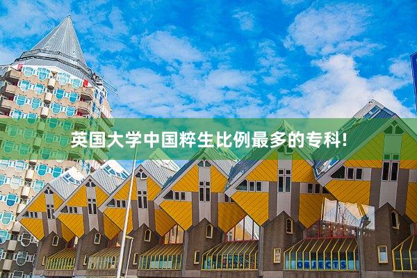 英国大学中国粹生比例最多的专科!