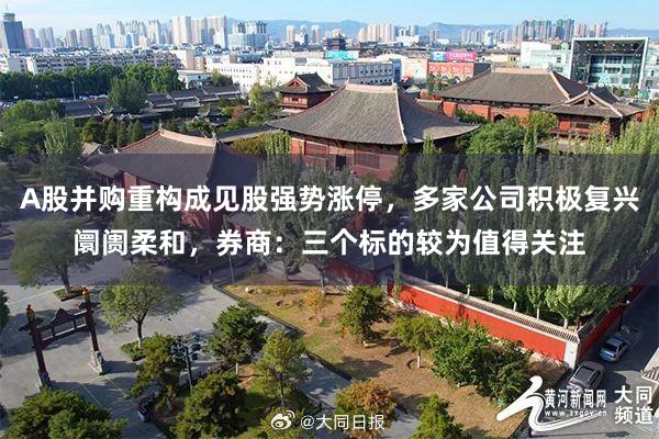 A股并购重构成见股强势涨停，多家公司积极复兴阛阓柔和，券商：三个标的较为值得关注