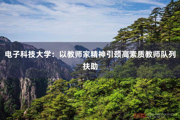 电子科技大学：以教师家精神引颈高素质教师队列扶助