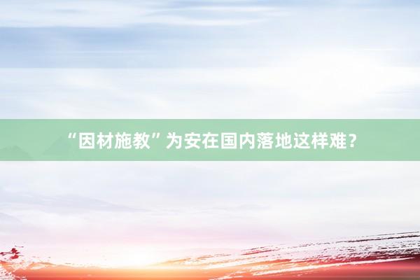 “因材施教”为安在国内落地这样难？