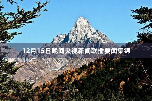 12月15日晚间央视新闻联播要闻集锦